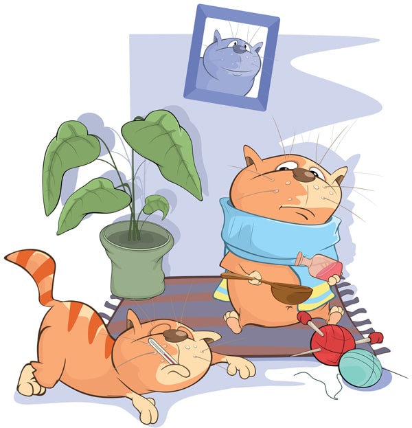 Sintomi in un gatto