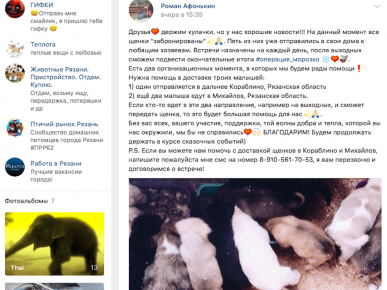 VK post, chi e quando prende il cucciolo