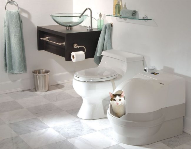 Toilette automatica per gatti