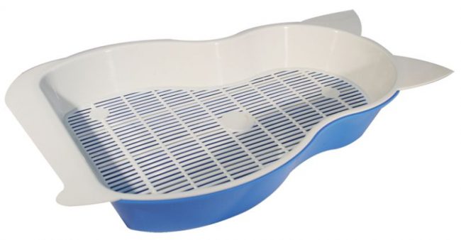 Toilette automatica per gatti