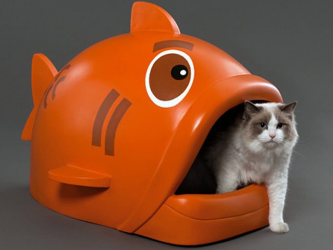 Toilette automatica per gatti