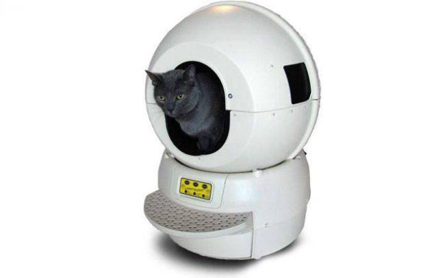 Toilette automatica per gatti