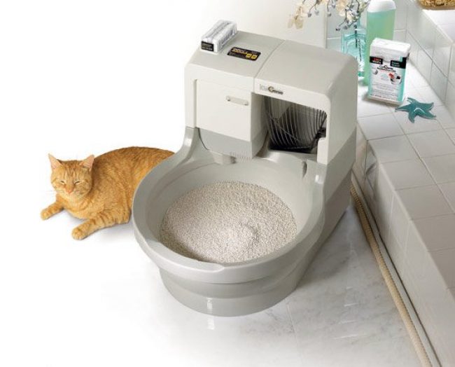 Toilette automatica per gatti