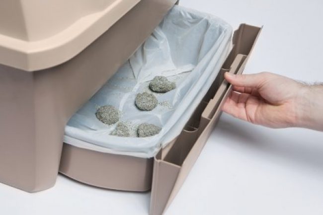 Toilette automatica per gatti