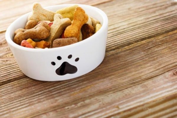 Cibo per cani
