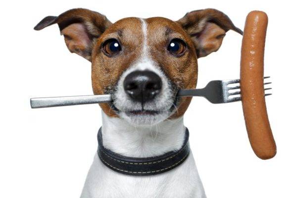 Salsiccia per cani