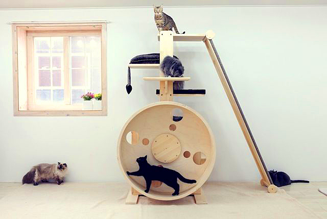 Il complesso di giochi è uno strumento eccellente per intrattenere i gatti Il complesso di giochi è uno strumento eccellente per intrattenere i gatti