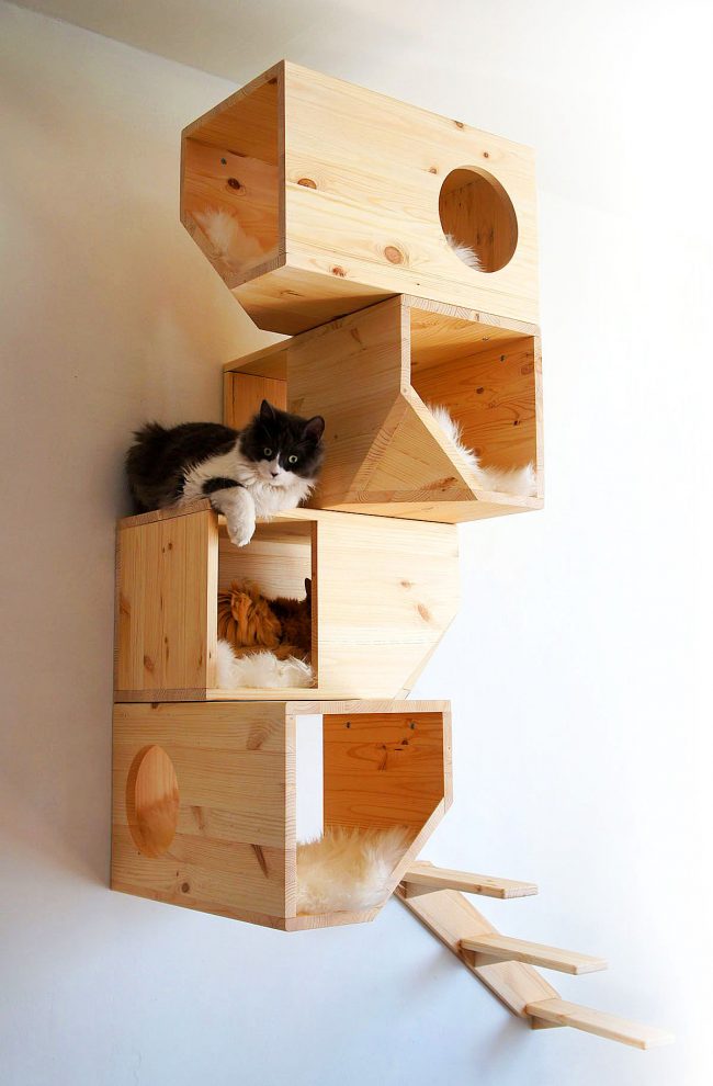 Casa moderna a muro per diversi gatti Casa moderna a muro per diversi gatti