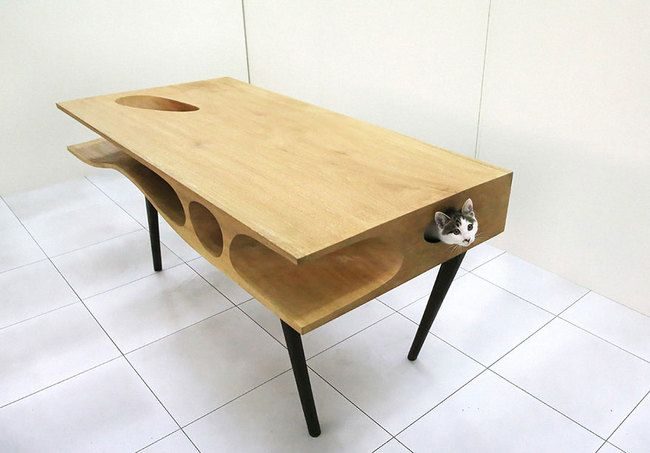 Il tavolo originale diventerà sicuramente una piattaforma meravigliosa per un gatto curioso Il tavolo originale diventerà sicuramente una piattaforma meravigliosa per un gatto curioso