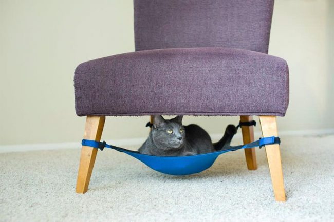 Un'amaca sotto una sedia farà risparmiare spazio nella stanza e darà piacere al gatto Un'amaca sotto una sedia farà risparmiare spazio nella stanza e darà piacere al gatto