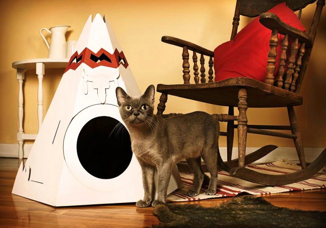 Wigwam di cartone - ora ogni gatto può immaginarsi un vero indiano Wigwam di cartone - ora ogni gatto può immaginarsi un vero indiano