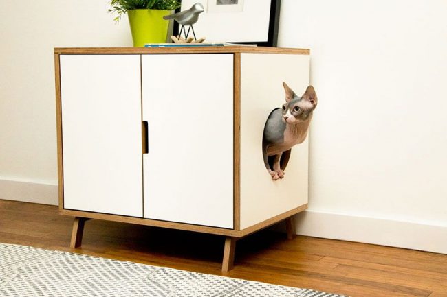 Un bellissimo comodino con una casa per gatti integrata non rovinerà l'aspetto della stanza Un bellissimo comodino con una casa per gatti integrata non rovinerà l'aspetto della stanza