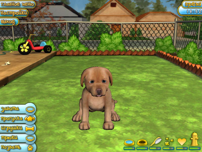 Gioco "Cura del cane" Игра "Уход за собакой"