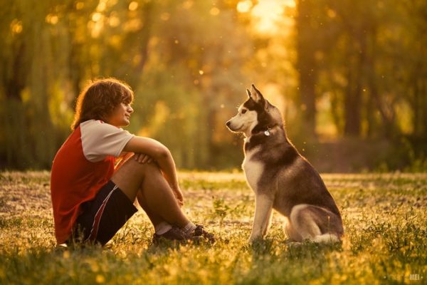 Come diventare un leader per un cane leggi l'articolo