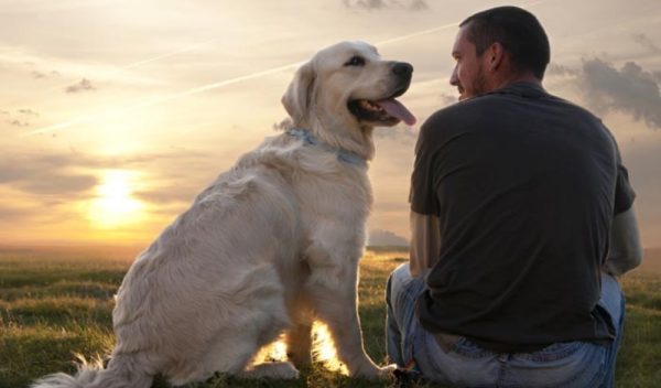 Cane e uomo