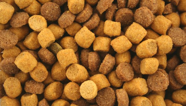 Cibo per gatti Leonardo