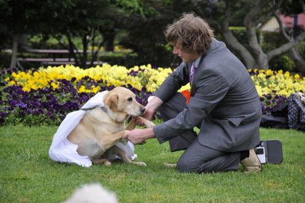 Matrimonio tra uomo e cane