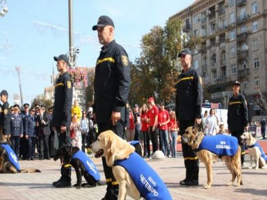 Cerimonia di pensionamento onoraria