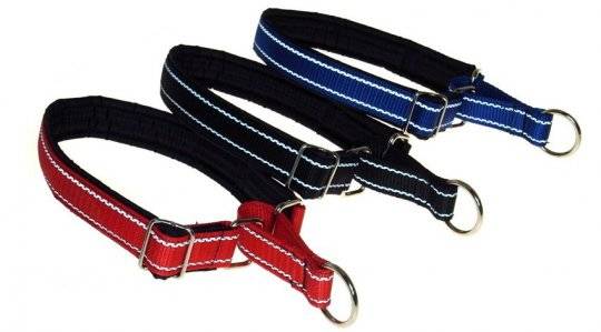 Collari da addestramento per cani
