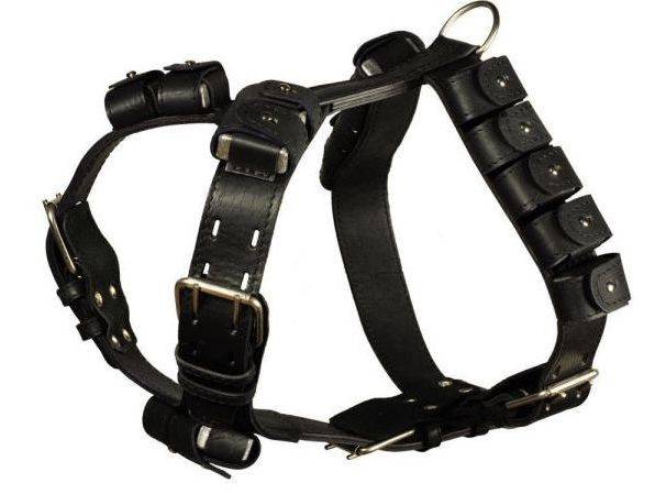 Fascia seno per cani