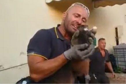 Pompiere e gattino