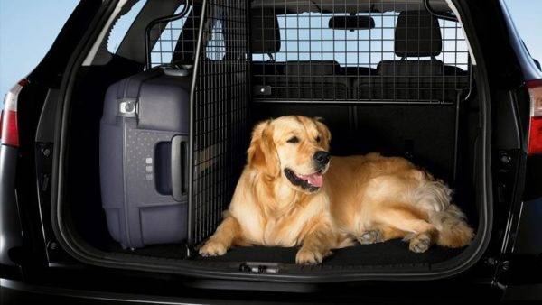 Viaggiare all'estero in un'auto personale