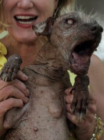 Il cane più spaventoso del mondo con un'amante