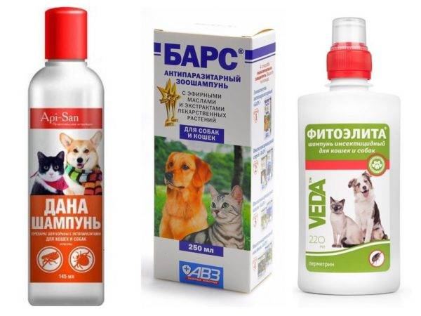 Shampoo per pulci per cani
