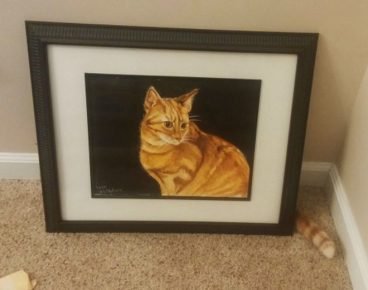 Il gatto era perfettamente mascherato