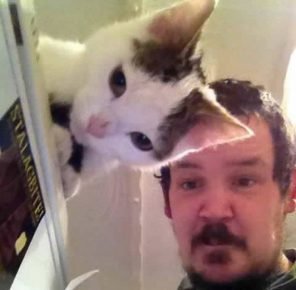 il gatto è stato fotografato con il proprietario