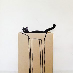 Il gatto con le gambe più lunghe