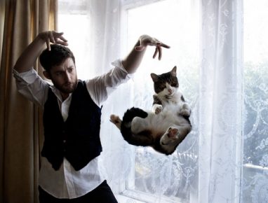 Lezioni di David Copperfield con un gatto