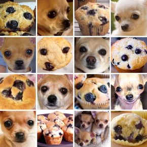 Cani da cibo