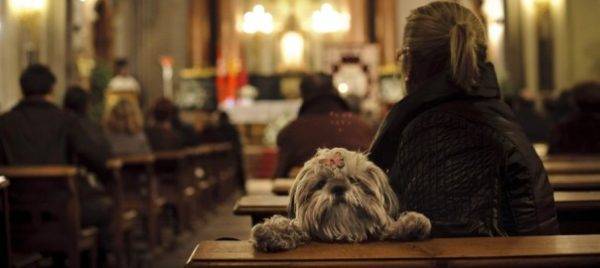 Cani nella religione